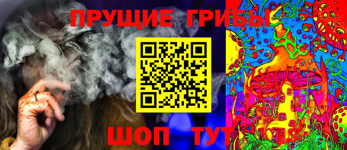 Галлюциногенные грибы Psilocybe  Вход с VPN  Альметьевск 